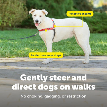 Easy Walk Deluxe Dog Harness, No Pull Dog Harness – Perfect for Leash & Harness Training – Stops Pets from Pulling and Choking on Walks – Medium, Steel