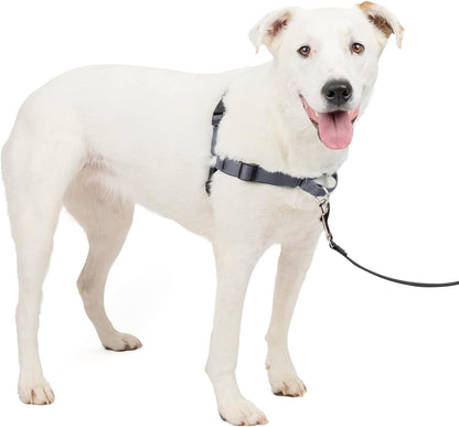 Easy Walk Deluxe Dog Harness, No Pull Dog Harness – Perfect for Leash & Harness Training – Stops Pets from Pulling and Choking on Walks – Medium, Steel