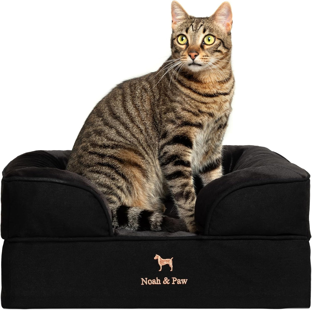 XL Dog Bed, 45x35x11 Inch, Orthopedic Large Dog Beds, Eggshell Memory Foam Infused with Cooling Gel, Inner Cover, Water Resistant, Machine Washable