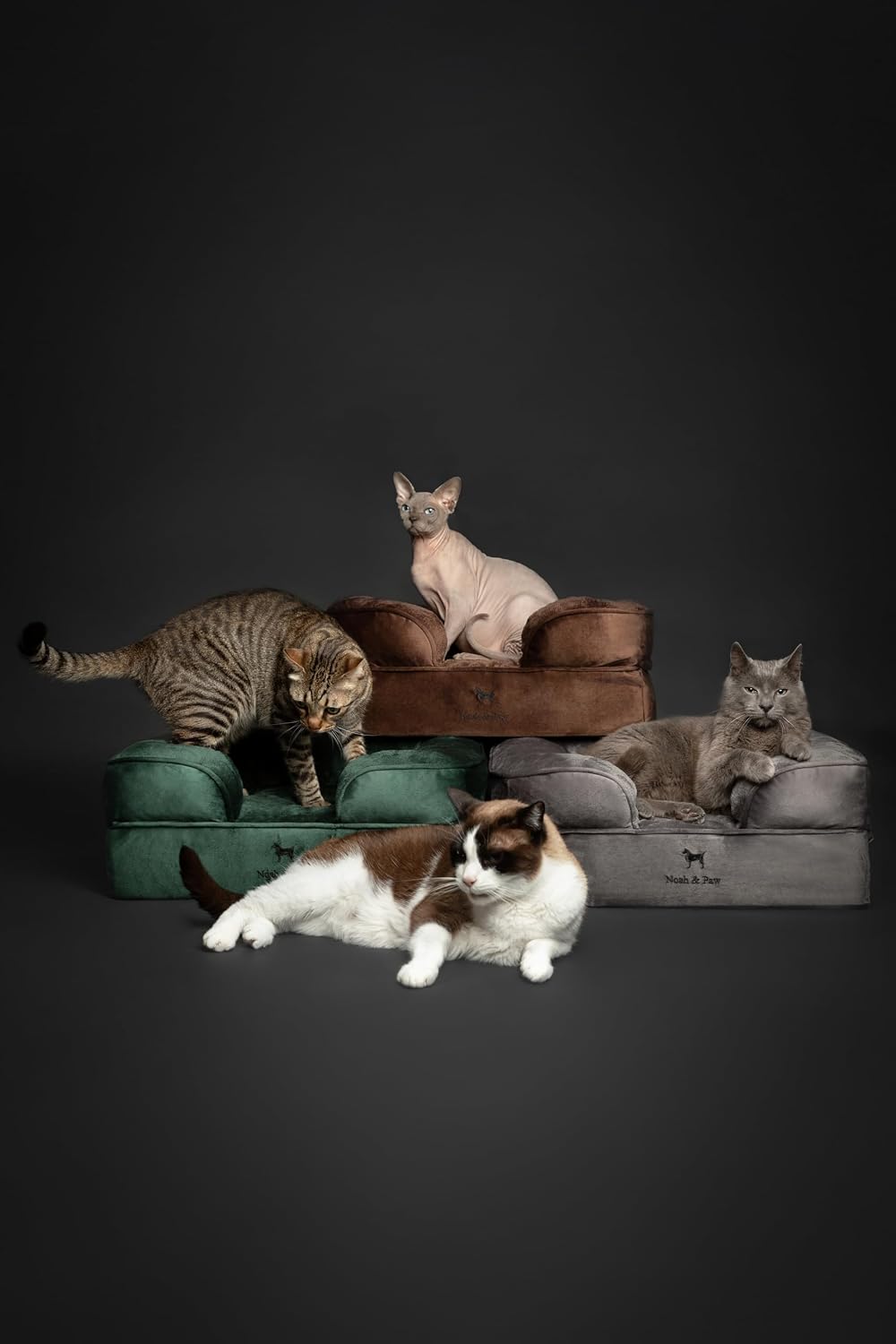 XL Dog Bed, 45x35x11 Inch, Orthopedic Large Dog Beds, Eggshell Memory Foam Infused with Cooling Gel, Inner Cover, Water Resistant, Machine Washable