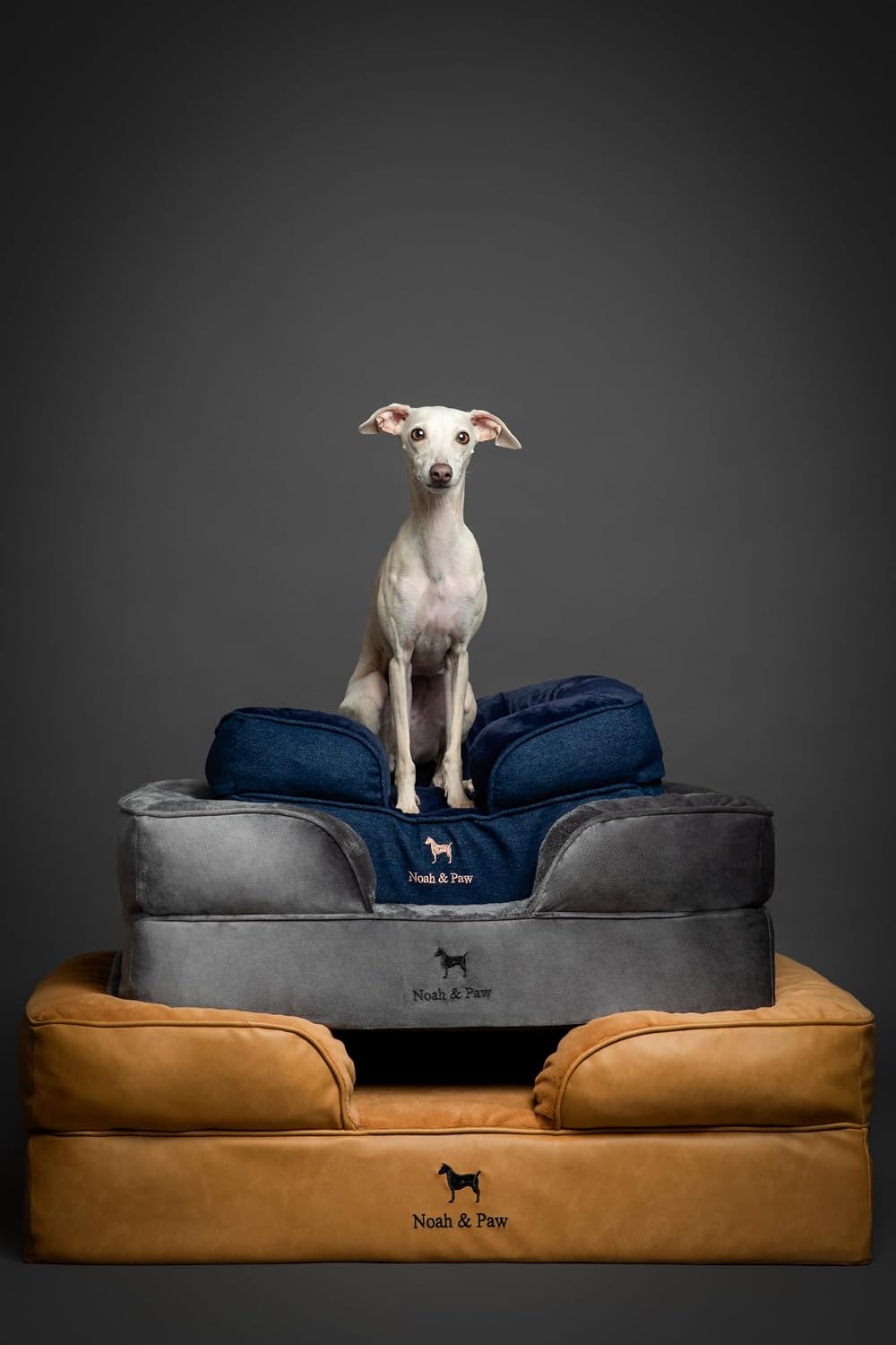 XL Dog Bed, 45x35x11 Inch, Orthopedic Large Dog Beds, Eggshell Memory Foam Infused with Cooling Gel, Inner Cover, Water Resistant, Machine Washable