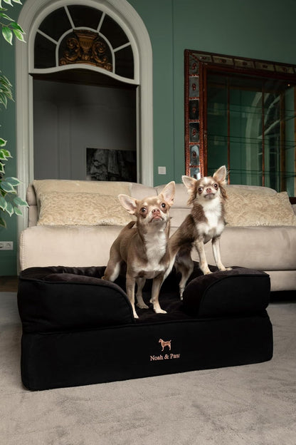 XL Dog Bed, 45x35x11 Inch, Orthopedic Large Dog Beds, Eggshell Memory Foam Infused with Cooling Gel, Inner Cover, Water Resistant, Machine Washable