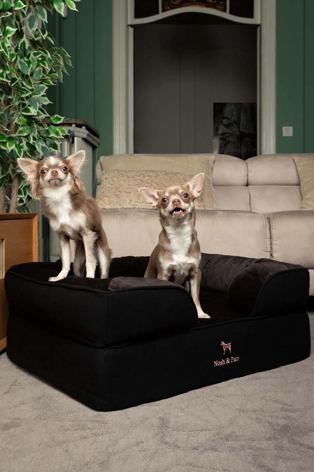 XL Dog Bed, 45x35x11 Inch, Orthopedic Large Dog Beds, Eggshell Memory Foam Infused with Cooling Gel, Inner Cover, Water Resistant, Machine Washable