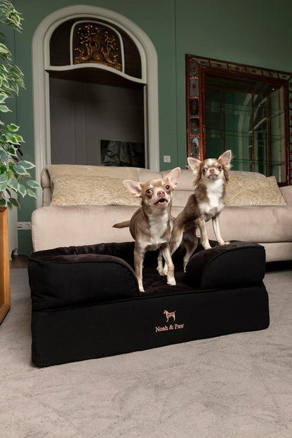 XL Dog Bed, 45x35x11 Inch, Orthopedic Large Dog Beds, Eggshell Memory Foam Infused with Cooling Gel, Inner Cover, Water Resistant, Machine Washable