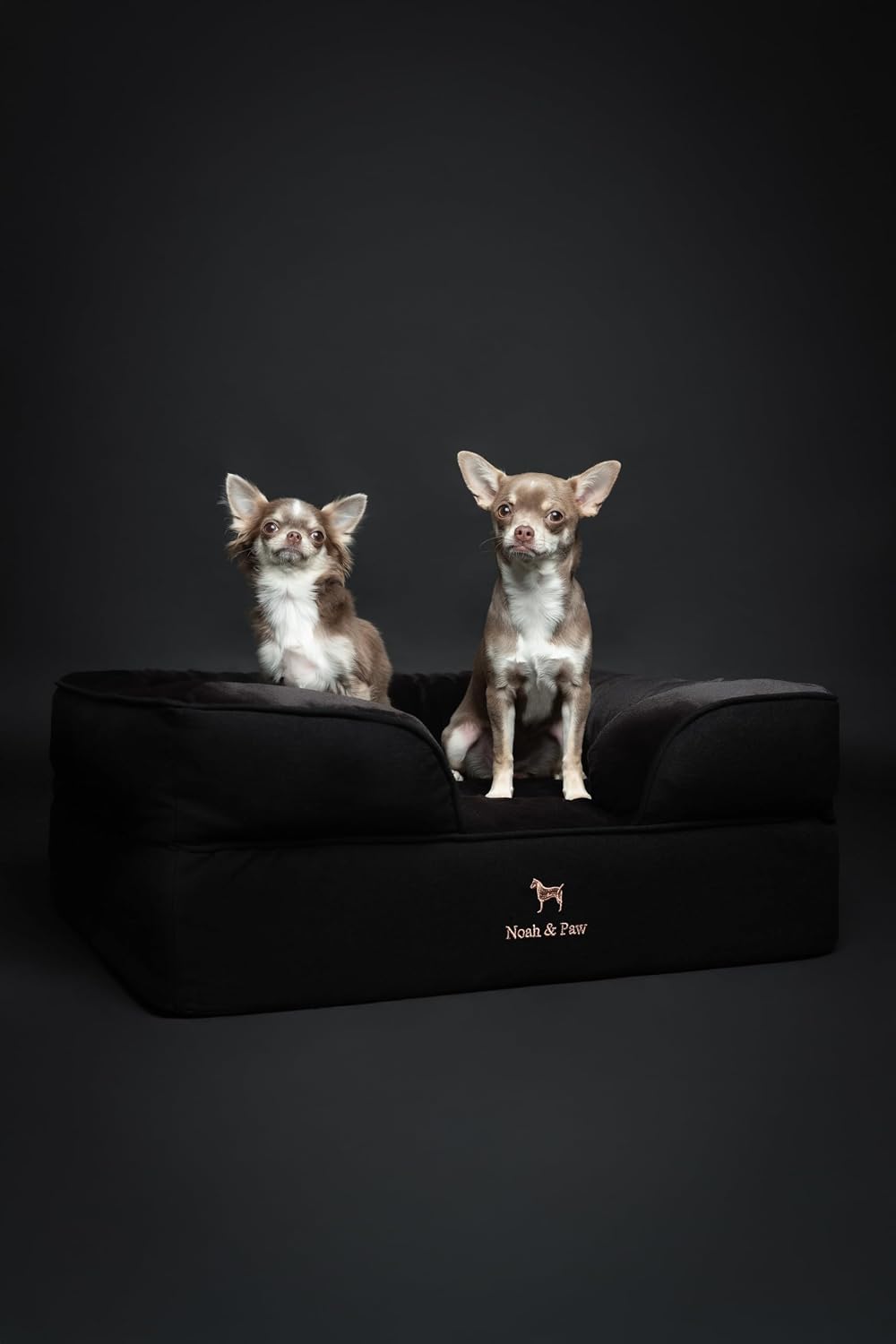 XL Dog Bed, 45x35x11 Inch, Orthopedic Large Dog Beds, Eggshell Memory Foam Infused with Cooling Gel, Inner Cover, Water Resistant, Machine Washable