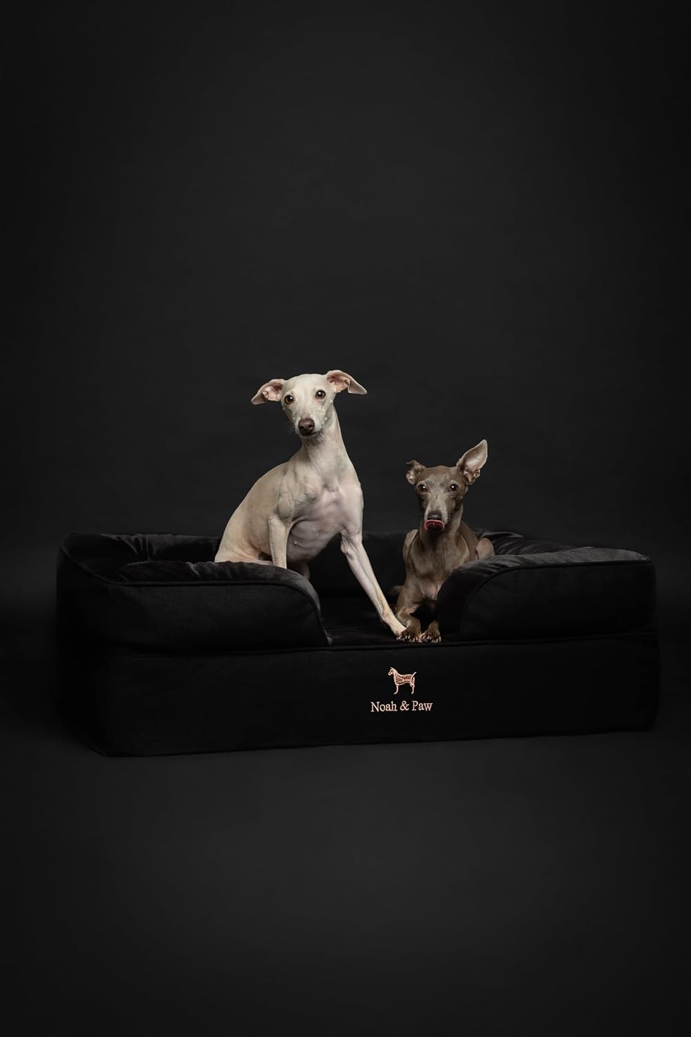 XL Dog Bed, 45x35x11 Inch, Orthopedic Large Dog Beds, Eggshell Memory Foam Infused with Cooling Gel, Inner Cover, Water Resistant, Machine Washable