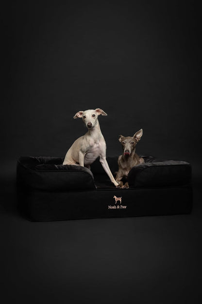 XL Dog Bed, 45x35x11 Inch, Orthopedic Large Dog Beds, Eggshell Memory Foam Infused with Cooling Gel, Inner Cover, Water Resistant, Machine Washable