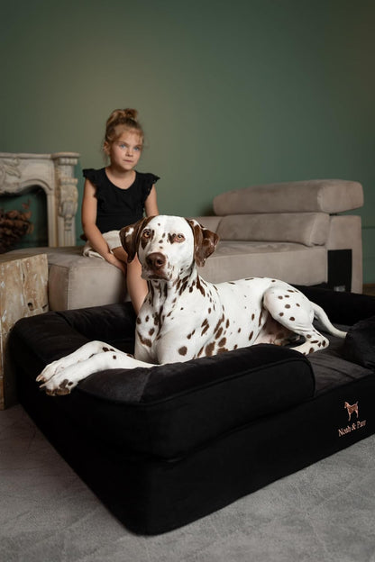 XL Dog Bed, 45x35x11 Inch, Orthopedic Large Dog Beds, Eggshell Memory Foam Infused with Cooling Gel, Inner Cover, Water Resistant, Machine Washable