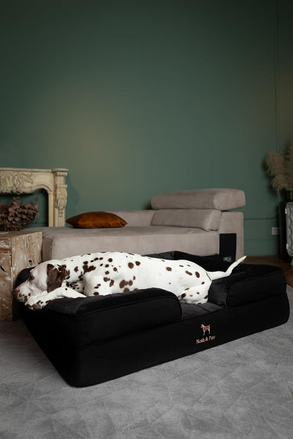 XL Dog Bed, 45x35x11 Inch, Orthopedic Large Dog Beds, Eggshell Memory Foam Infused with Cooling Gel, Inner Cover, Water Resistant, Machine Washable