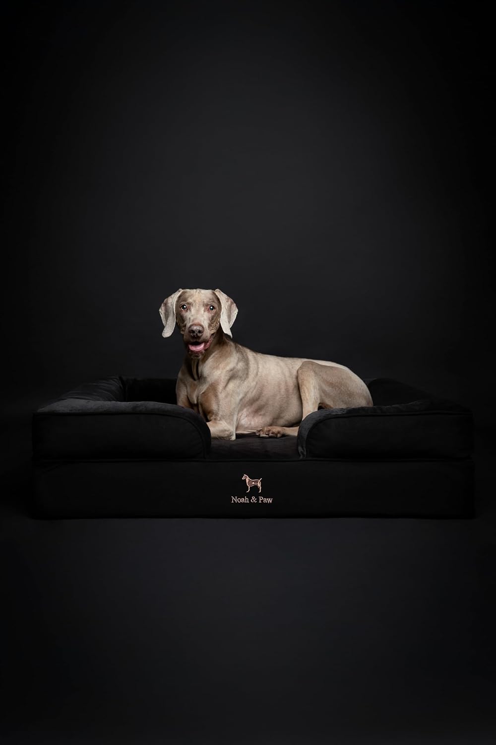 XL Dog Bed, 45x35x11 Inch, Orthopedic Large Dog Beds, Eggshell Memory Foam Infused with Cooling Gel, Inner Cover, Water Resistant, Machine Washable