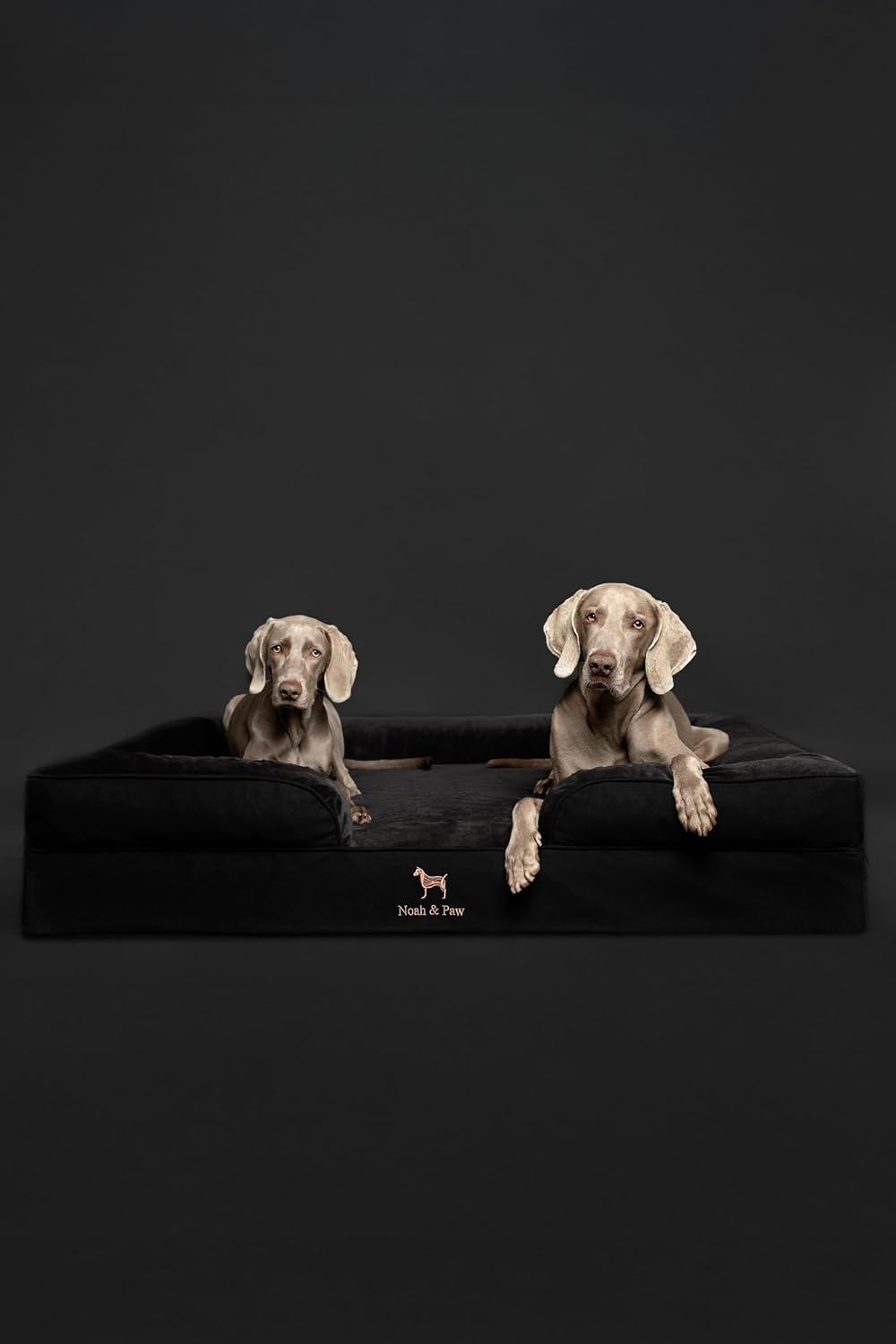 XL Dog Bed, 45x35x11 Inch, Orthopedic Large Dog Beds, Eggshell Memory Foam Infused with Cooling Gel, Inner Cover, Water Resistant, Machine Washable