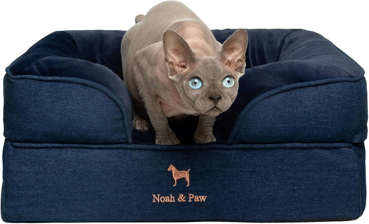 XL Dog Bed, 45x35x11 Inch, Orthopedic Large Dog Beds, Eggshell Memory Foam Infused with Cooling Gel, Inner Cover, Water Resistant, Machine Washable