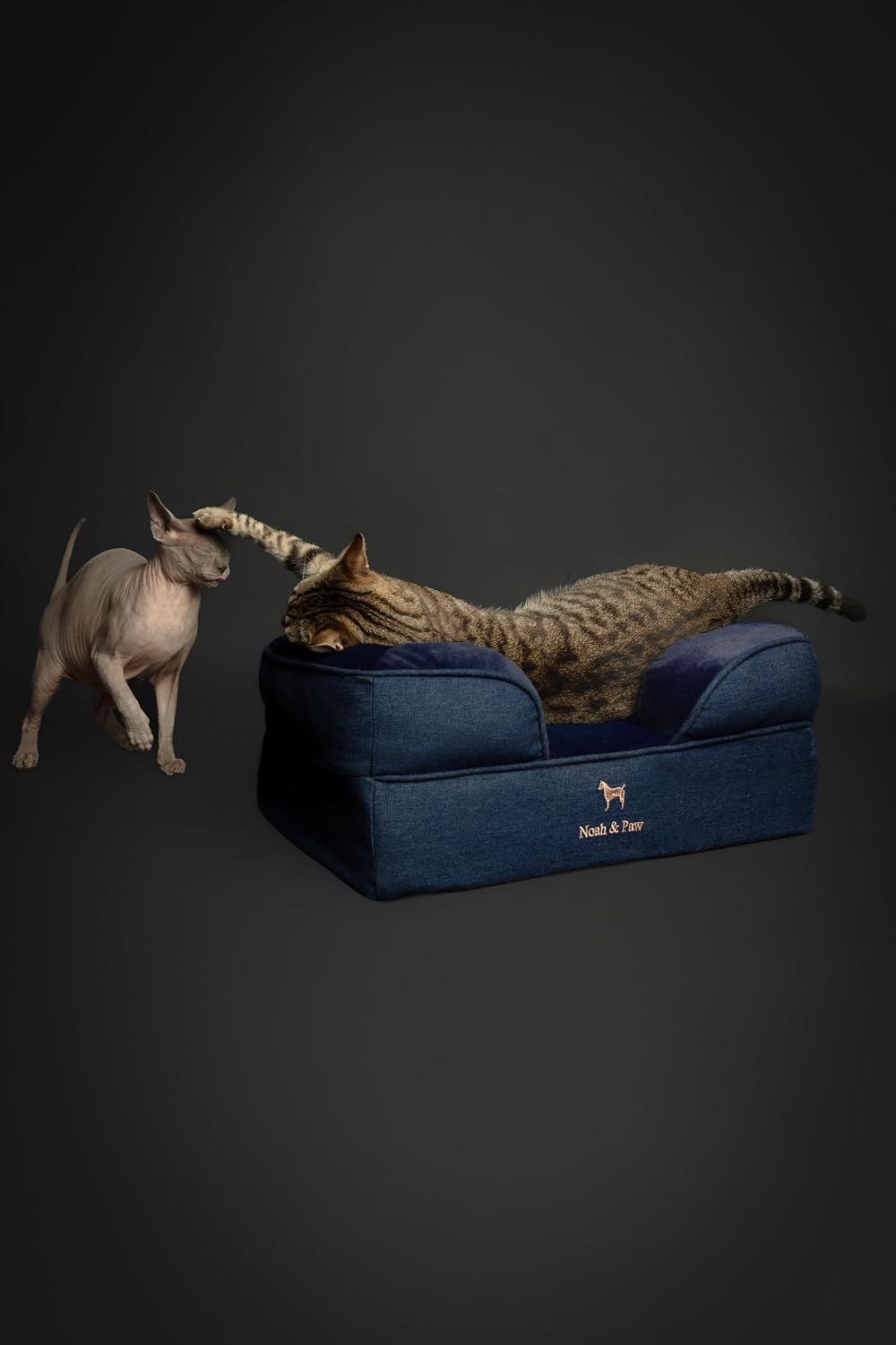 XL Dog Bed, 45x35x11 Inch, Orthopedic Large Dog Beds, Eggshell Memory Foam Infused with Cooling Gel, Inner Cover, Water Resistant, Machine Washable