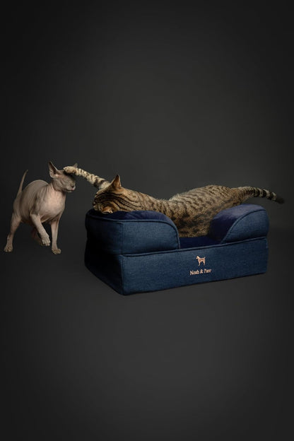 XL Dog Bed, 45x35x11 Inch, Orthopedic Large Dog Beds, Eggshell Memory Foam Infused with Cooling Gel, Inner Cover, Water Resistant, Machine Washable