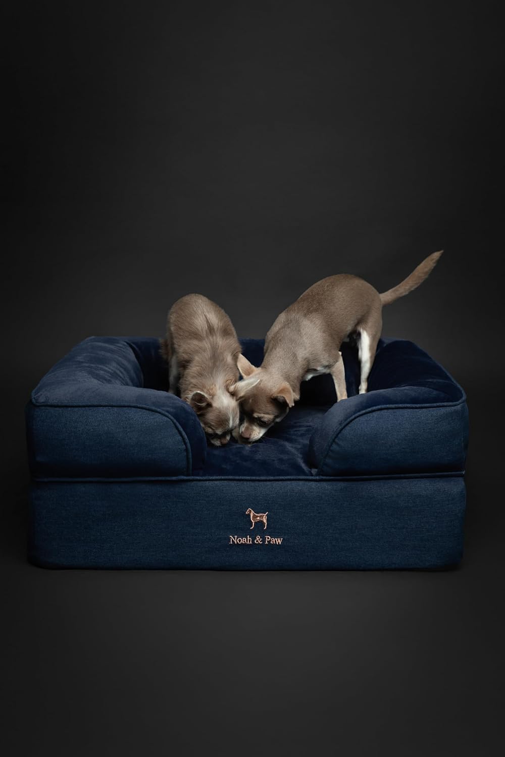 XL Dog Bed, 45x35x11 Inch, Orthopedic Large Dog Beds, Eggshell Memory Foam Infused with Cooling Gel, Inner Cover, Water Resistant, Machine Washable
