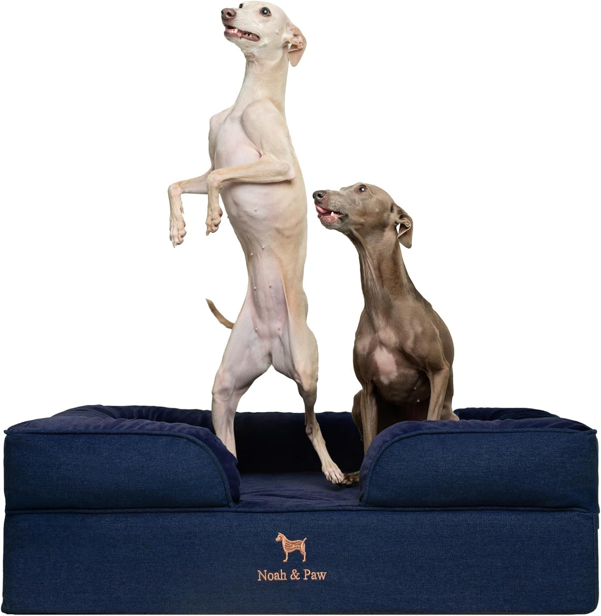 XL Dog Bed, 45x35x11 Inch, Orthopedic Large Dog Beds, Eggshell Memory Foam Infused with Cooling Gel, Inner Cover, Water Resistant, Machine Washable