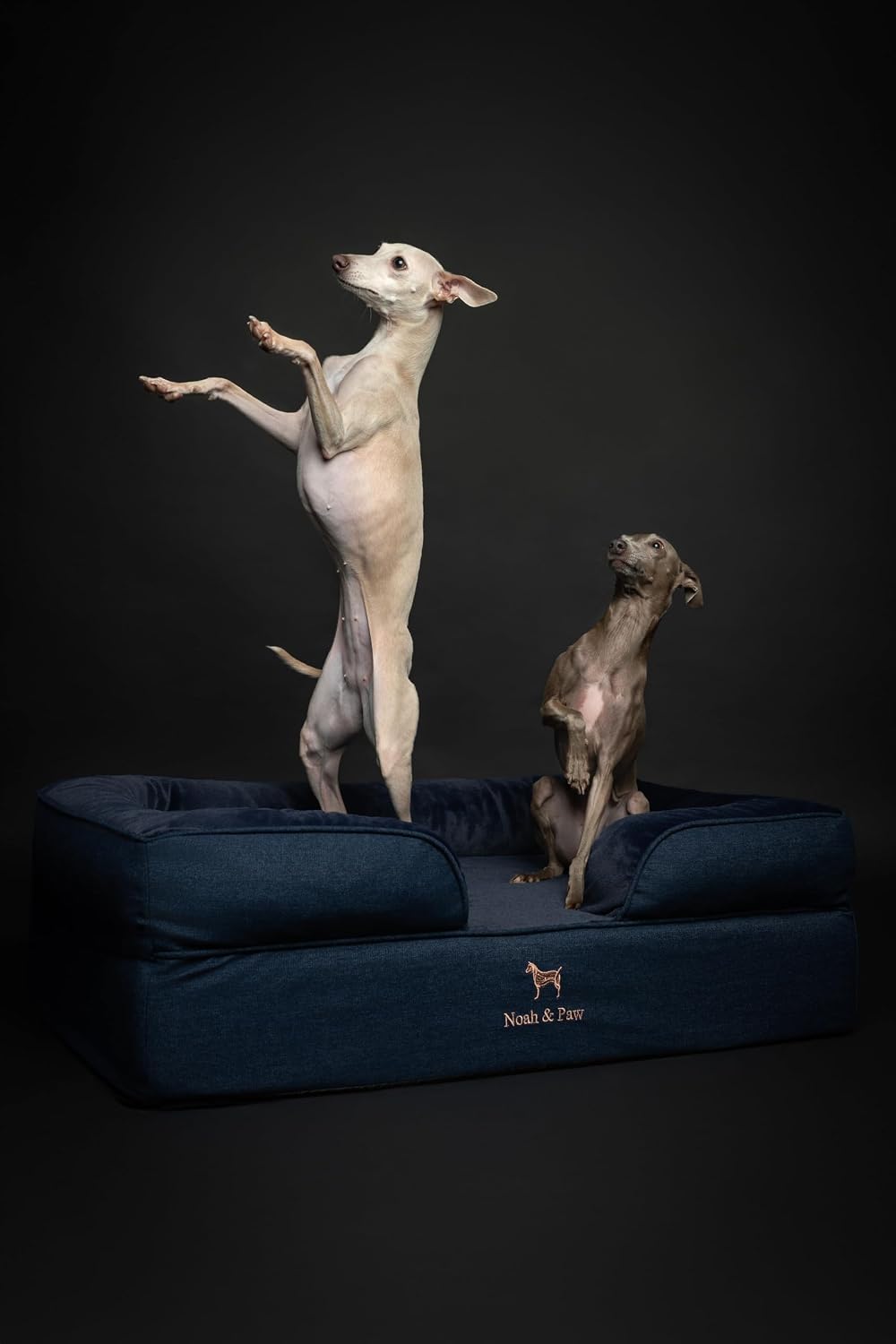 XL Dog Bed, 45x35x11 Inch, Orthopedic Large Dog Beds, Eggshell Memory Foam Infused with Cooling Gel, Inner Cover, Water Resistant, Machine Washable