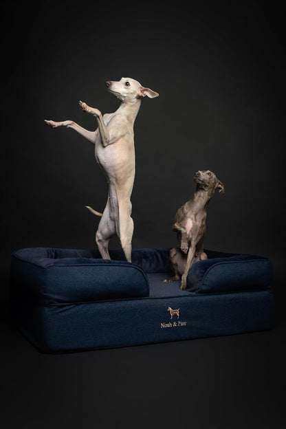 XL Dog Bed, 45x35x11 Inch, Orthopedic Large Dog Beds, Eggshell Memory Foam Infused with Cooling Gel, Inner Cover, Water Resistant, Machine Washable
