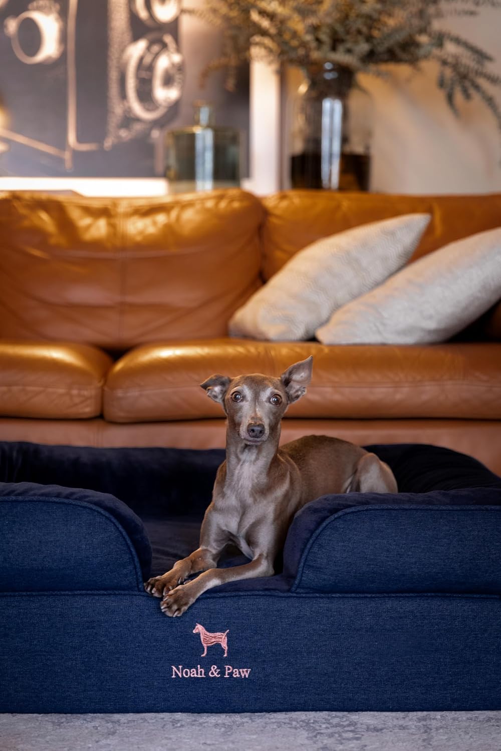 XL Dog Bed, 45x35x11 Inch, Orthopedic Large Dog Beds, Eggshell Memory Foam Infused with Cooling Gel, Inner Cover, Water Resistant, Machine Washable