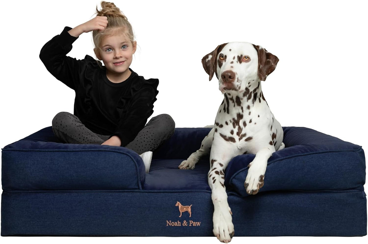 XL Dog Bed, 45x35x11 Inch, Orthopedic Large Dog Beds, Eggshell Memory Foam Infused with Cooling Gel, Inner Cover, Water Resistant, Machine Washable