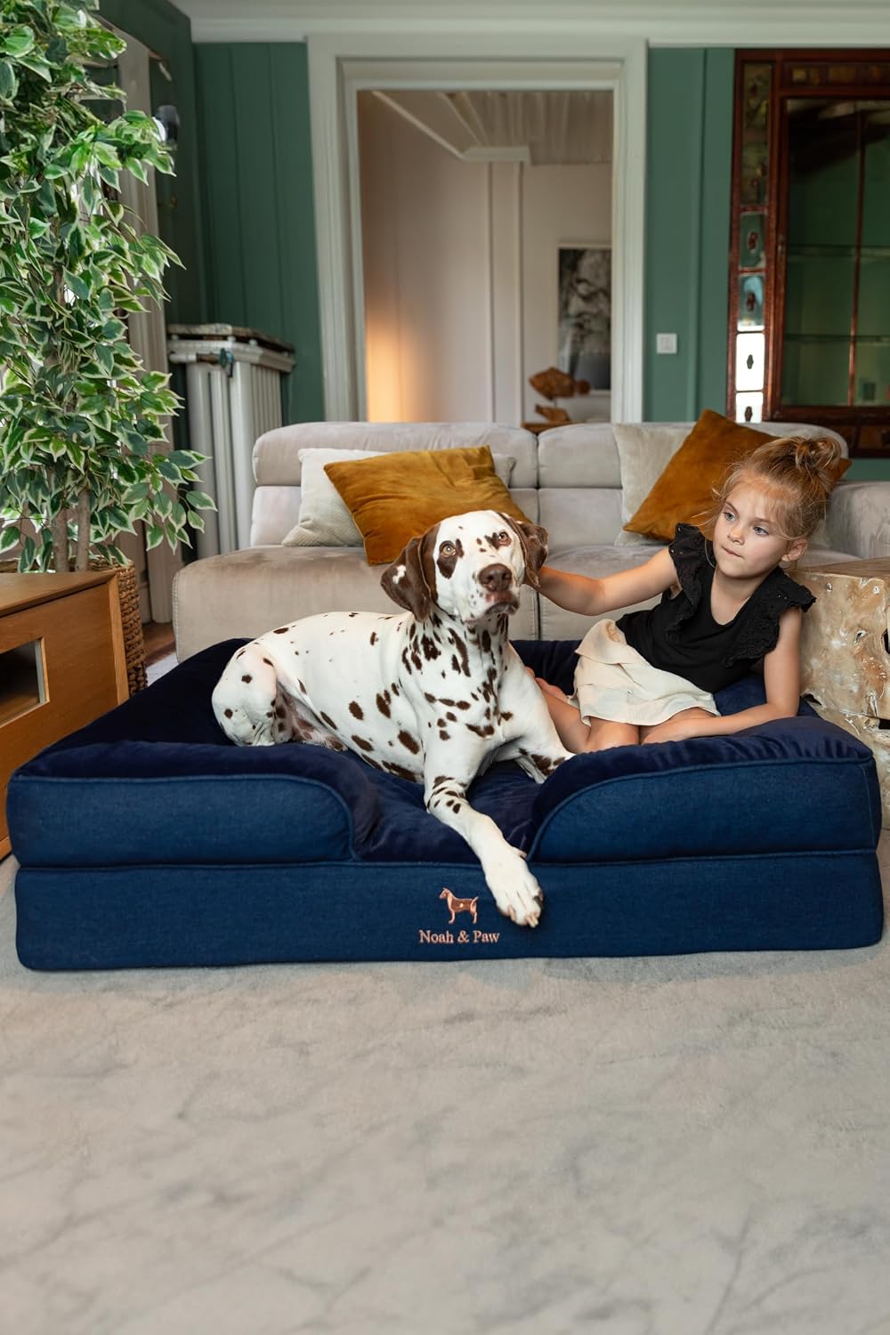 XL Dog Bed, 45x35x11 Inch, Orthopedic Large Dog Beds, Eggshell Memory Foam Infused with Cooling Gel, Inner Cover, Water Resistant, Machine Washable