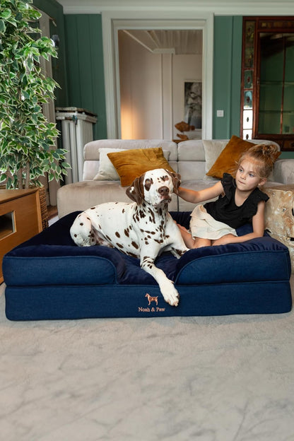 XL Dog Bed, 45x35x11 Inch, Orthopedic Large Dog Beds, Eggshell Memory Foam Infused with Cooling Gel, Inner Cover, Water Resistant, Machine Washable