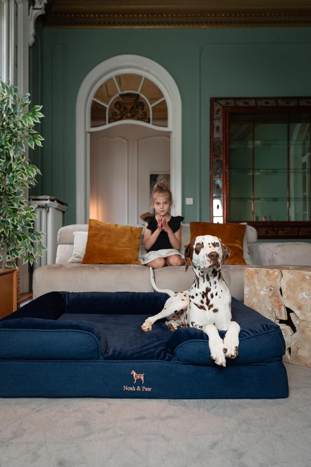 XL Dog Bed, 45x35x11 Inch, Orthopedic Large Dog Beds, Eggshell Memory Foam Infused with Cooling Gel, Inner Cover, Water Resistant, Machine Washable