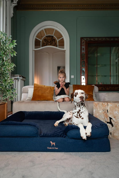 XL Dog Bed, 45x35x11 Inch, Orthopedic Large Dog Beds, Eggshell Memory Foam Infused with Cooling Gel, Inner Cover, Water Resistant, Machine Washable