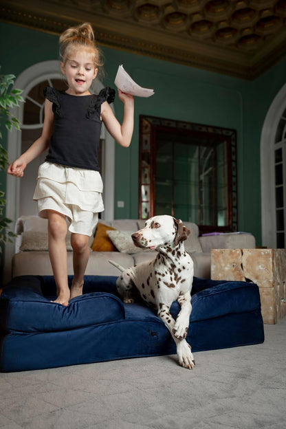 XL Dog Bed, 45x35x11 Inch, Orthopedic Large Dog Beds, Eggshell Memory Foam Infused with Cooling Gel, Inner Cover, Water Resistant, Machine Washable