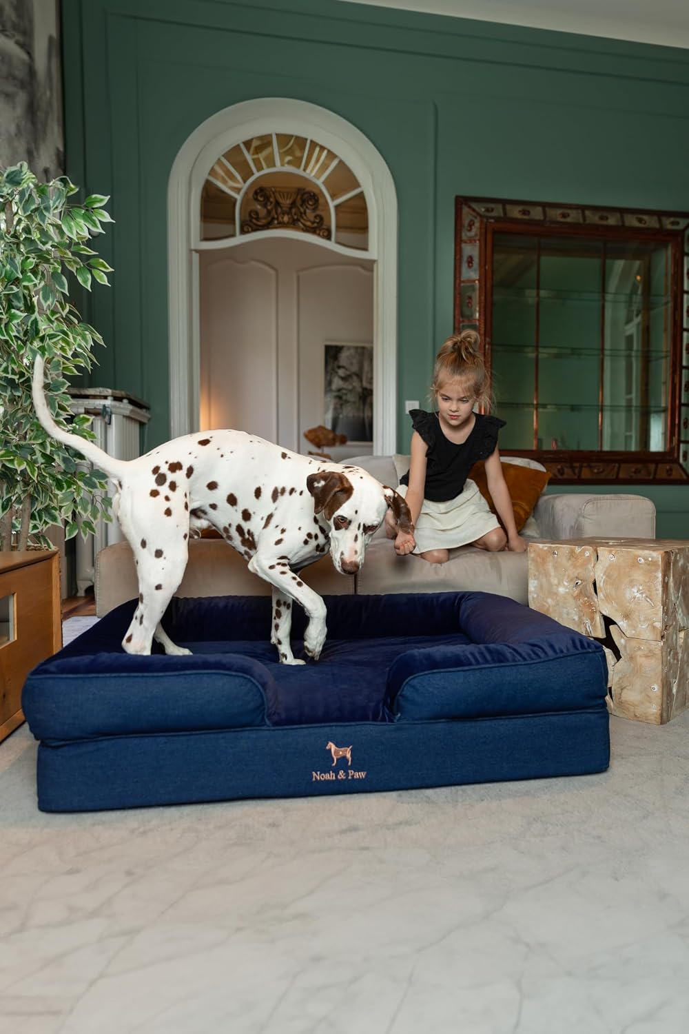 XL Dog Bed, 45x35x11 Inch, Orthopedic Large Dog Beds, Eggshell Memory Foam Infused with Cooling Gel, Inner Cover, Water Resistant, Machine Washable
