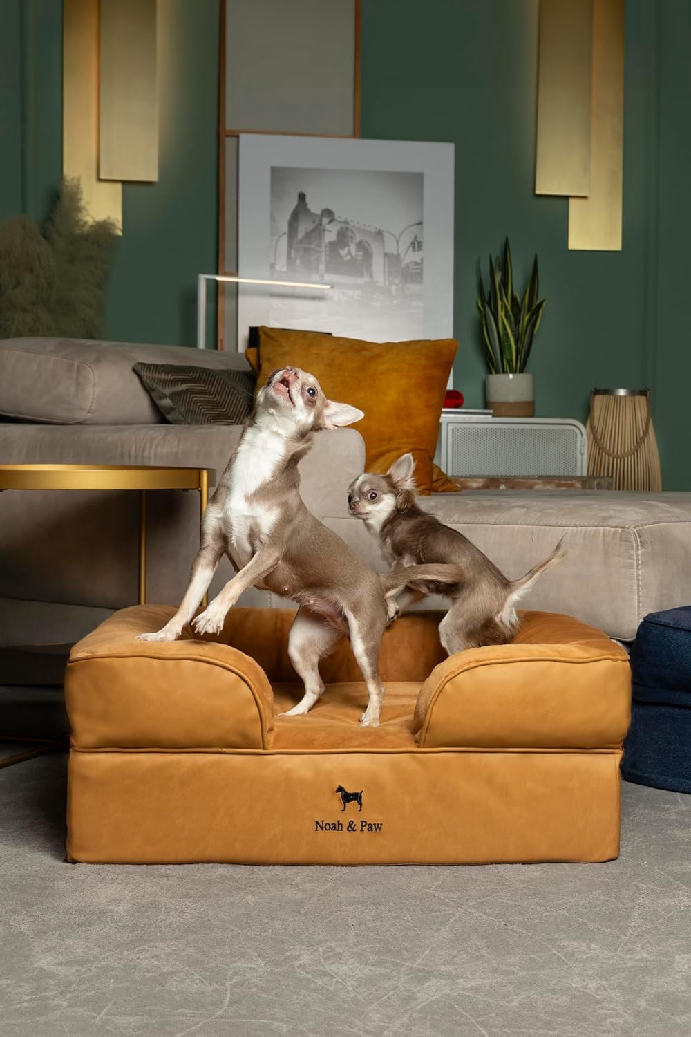XL Dog Bed, 45x35x11 Inch, Orthopedic Large Dog Beds, Eggshell Memory Foam Infused with Cooling Gel, Inner Cover, Water Resistant, Machine Washable