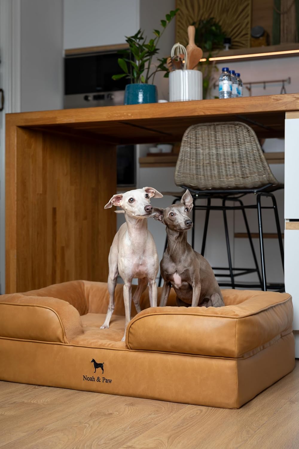 XL Dog Bed, 45x35x11 Inch, Orthopedic Large Dog Beds, Eggshell Memory Foam Infused with Cooling Gel, Inner Cover, Water Resistant, Machine Washable