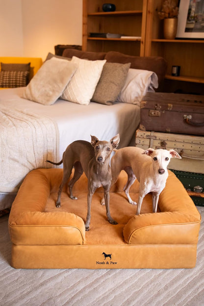 XL Dog Bed, 45x35x11 Inch, Orthopedic Large Dog Beds, Eggshell Memory Foam Infused with Cooling Gel, Inner Cover, Water Resistant, Machine Washable