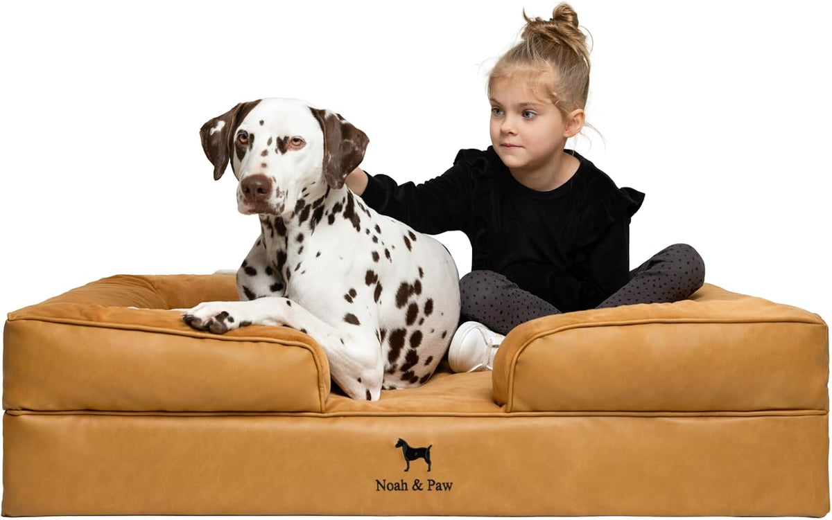 XL Dog Bed, 45x35x11 Inch, Orthopedic Large Dog Beds, Eggshell Memory Foam Infused with Cooling Gel, Inner Cover, Water Resistant, Machine Washable