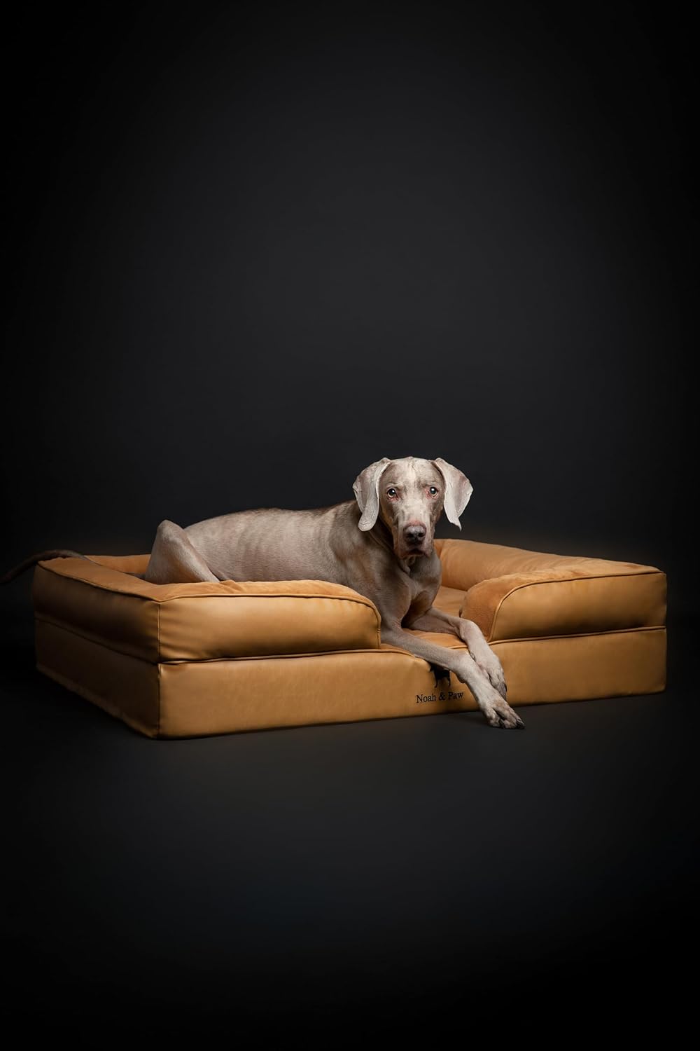 XL Dog Bed, 45x35x11 Inch, Orthopedic Large Dog Beds, Eggshell Memory Foam Infused with Cooling Gel, Inner Cover, Water Resistant, Machine Washable