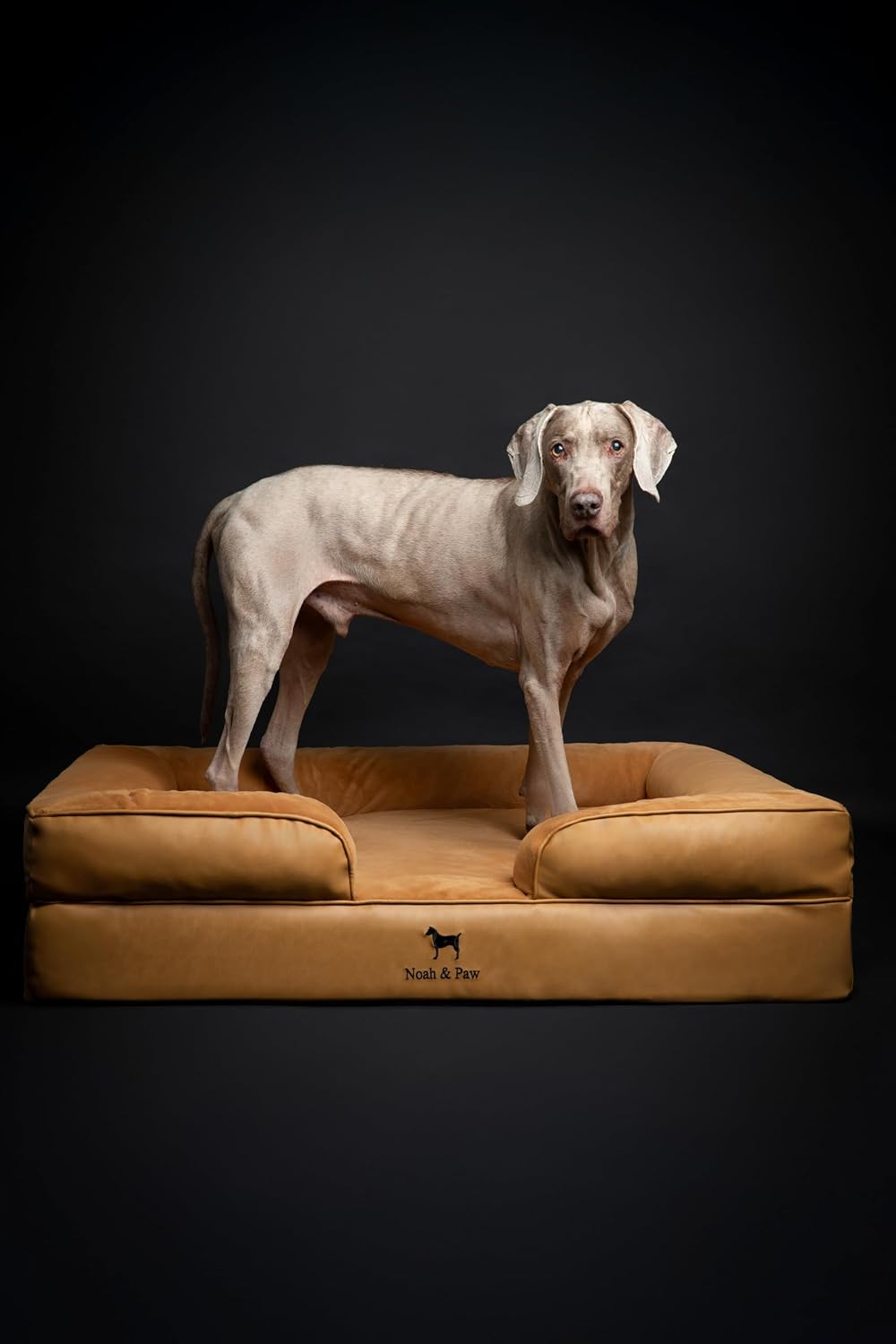 XL Dog Bed, 45x35x11 Inch, Orthopedic Large Dog Beds, Eggshell Memory Foam Infused with Cooling Gel, Inner Cover, Water Resistant, Machine Washable