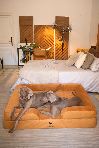 XL Dog Bed, 45x35x11 Inch, Orthopedic Large Dog Beds, Eggshell Memory Foam Infused with Cooling Gel, Inner Cover, Water Resistant, Machine Washable
