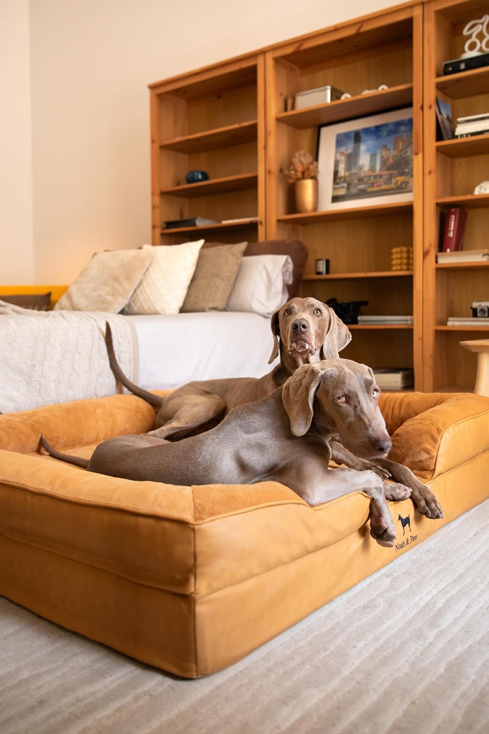 XL Dog Bed, 45x35x11 Inch, Orthopedic Large Dog Beds, Eggshell Memory Foam Infused with Cooling Gel, Inner Cover, Water Resistant, Machine Washable