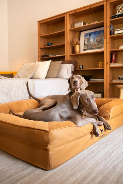 XL Dog Bed, 45x35x11 Inch, Orthopedic Large Dog Beds, Eggshell Memory Foam Infused with Cooling Gel, Inner Cover, Water Resistant, Machine Washable