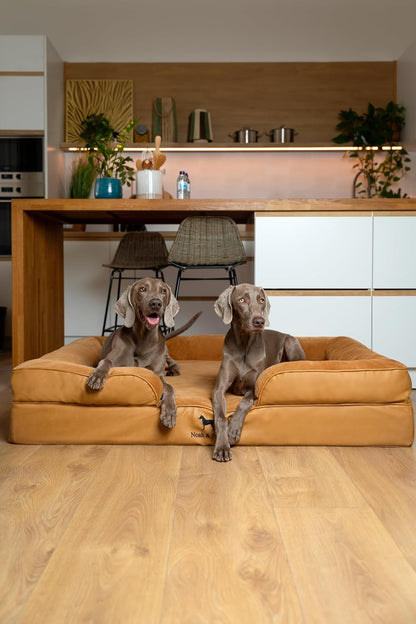 XL Dog Bed, 45x35x11 Inch, Orthopedic Large Dog Beds, Eggshell Memory Foam Infused with Cooling Gel, Inner Cover, Water Resistant, Machine Washable