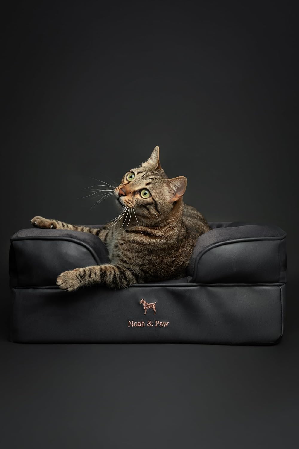 XL Dog Bed, 45x35x11 Inch, Orthopedic Large Dog Beds, Eggshell Memory Foam Infused with Cooling Gel, Inner Cover, Water Resistant, Machine Washable