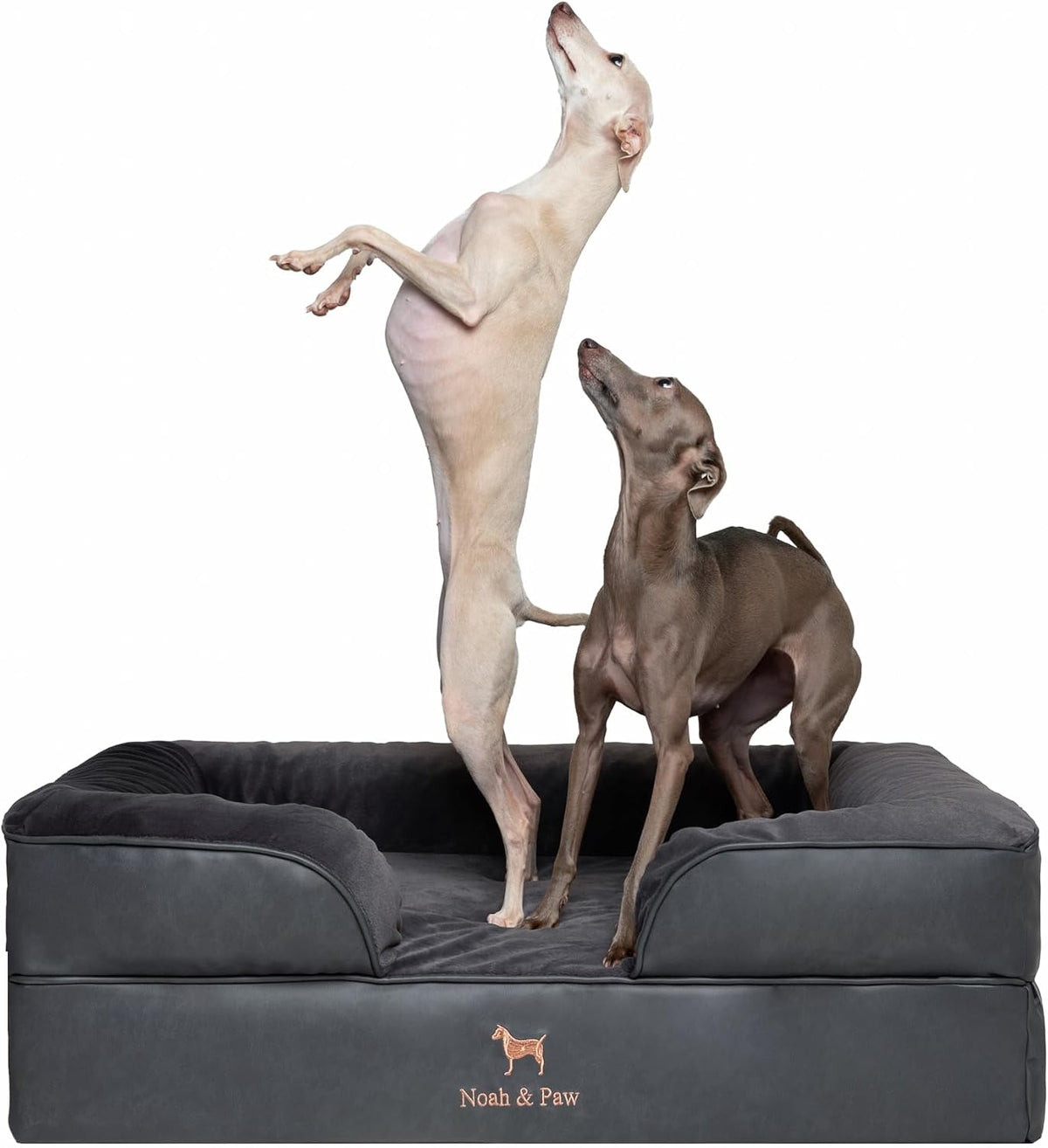 XL Dog Bed, 45x35x11 Inch, Orthopedic Large Dog Beds, Eggshell Memory Foam Infused with Cooling Gel, Inner Cover, Water Resistant, Machine Washable