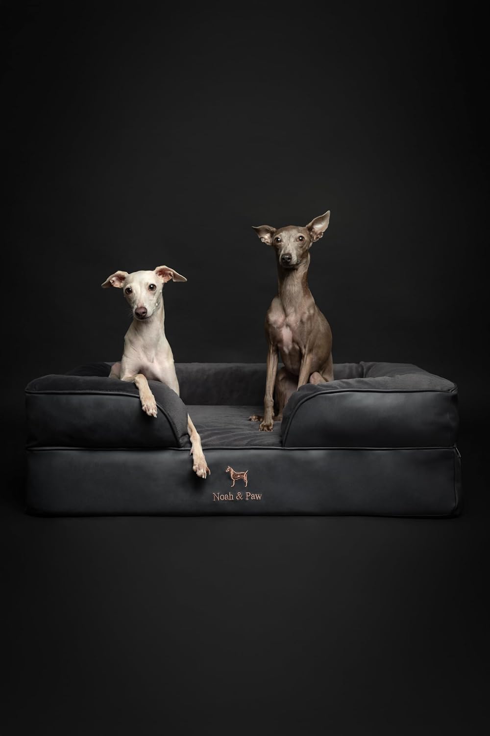 XL Dog Bed, 45x35x11 Inch, Orthopedic Large Dog Beds, Eggshell Memory Foam Infused with Cooling Gel, Inner Cover, Water Resistant, Machine Washable