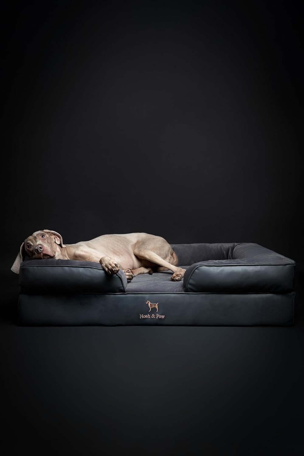 XL Dog Bed, 45x35x11 Inch, Orthopedic Large Dog Beds, Eggshell Memory Foam Infused with Cooling Gel, Inner Cover, Water Resistant, Machine Washable