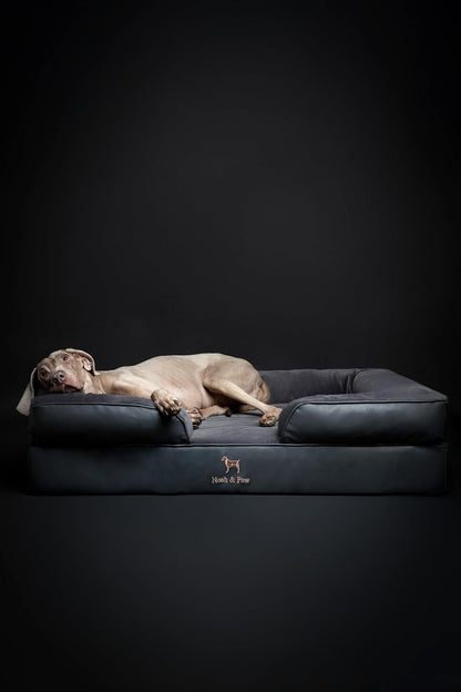 XL Dog Bed, 45x35x11 Inch, Orthopedic Large Dog Beds, Eggshell Memory Foam Infused with Cooling Gel, Inner Cover, Water Resistant, Machine Washable