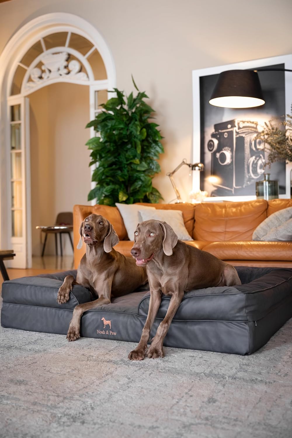 XL Dog Bed, 45x35x11 Inch, Orthopedic Large Dog Beds, Eggshell Memory Foam Infused with Cooling Gel, Inner Cover, Water Resistant, Machine Washable