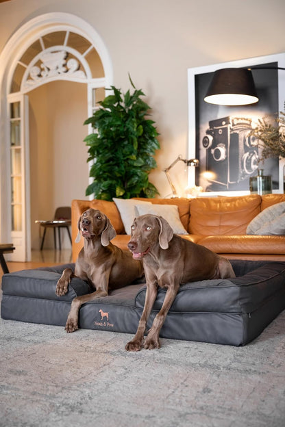 XL Dog Bed, 45x35x11 Inch, Orthopedic Large Dog Beds, Eggshell Memory Foam Infused with Cooling Gel, Inner Cover, Water Resistant, Machine Washable