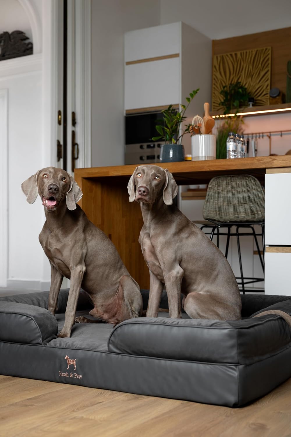XL Dog Bed, 45x35x11 Inch, Orthopedic Large Dog Beds, Eggshell Memory Foam Infused with Cooling Gel, Inner Cover, Water Resistant, Machine Washable
