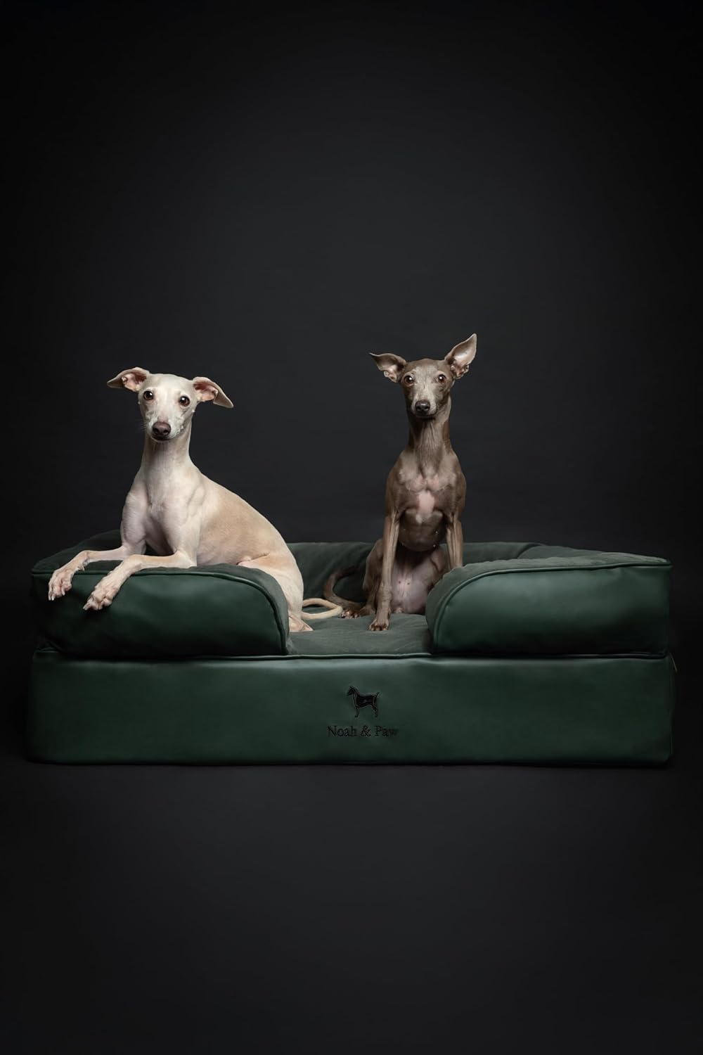 XL Dog Bed, 45x35x11 Inch, Orthopedic Large Dog Beds, Eggshell Memory Foam Infused with Cooling Gel, Inner Cover, Water Resistant, Machine Washable