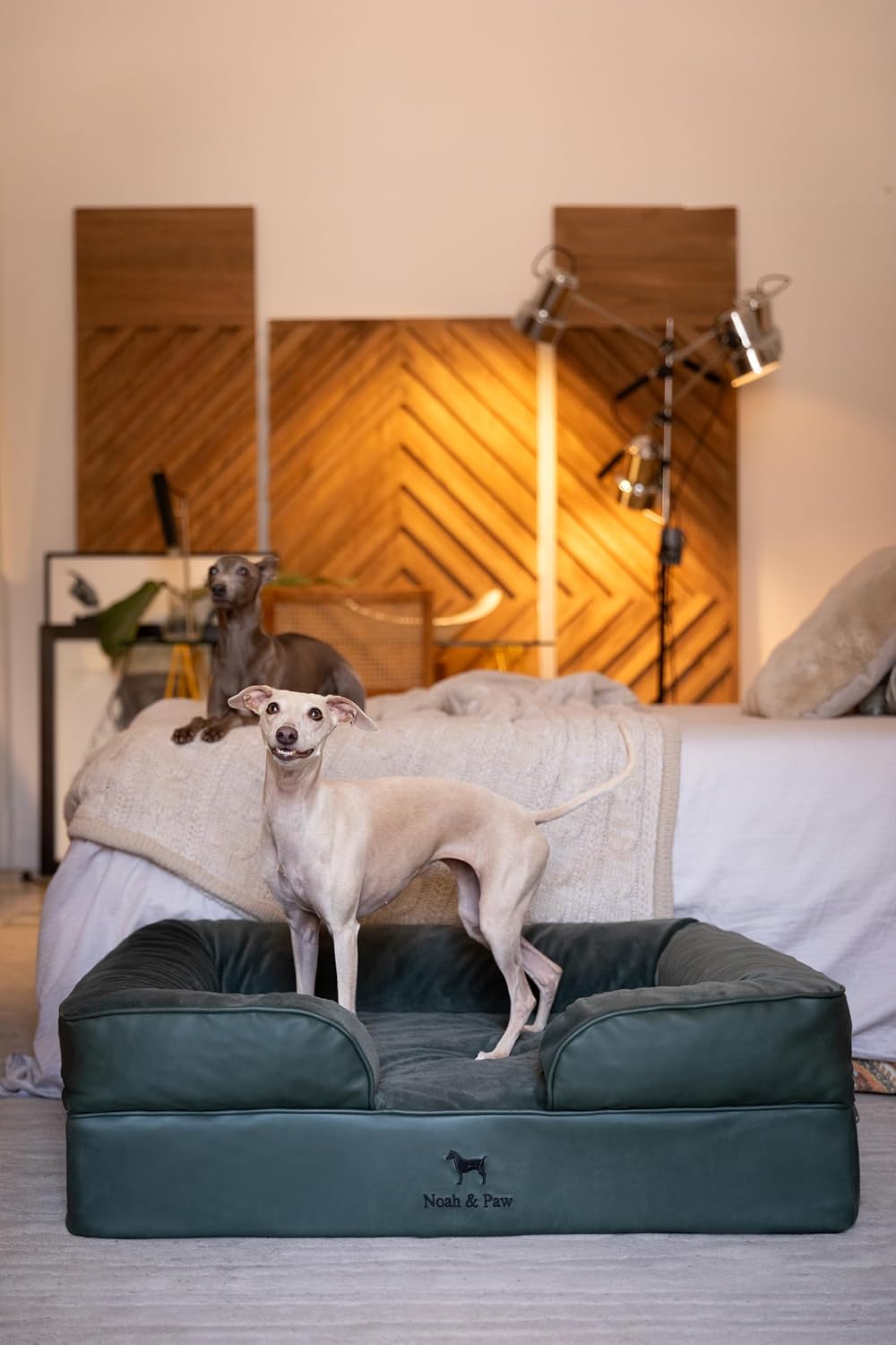 XL Dog Bed, 45x35x11 Inch, Orthopedic Large Dog Beds, Eggshell Memory Foam Infused with Cooling Gel, Inner Cover, Water Resistant, Machine Washable